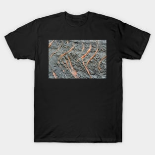 Rock Abstract VI T-Shirt